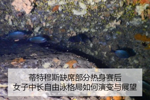 di-te-mu-si-que-xi-bu-fen-re-shen-sai-hou-nv-zi-zhong-chang-zi-you-yong-ge-ju-ru-he-yan-bian-yu-zhan-wang-2-212.jpg