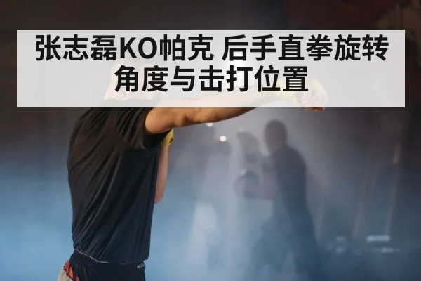 张志磊KO帕克 后手直拳旋转角度与击打位置
